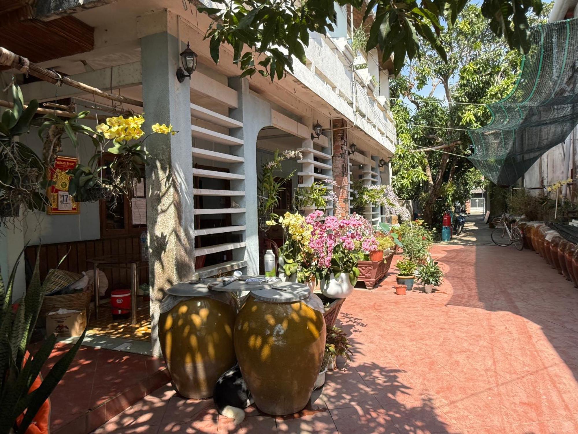 מי טאו Island Homestay Tien Giang מראה חיצוני תמונה